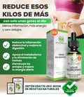 Clorofila Benevolent 60ML
